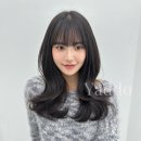 루이드헤어(Loui'D) | 도안동 미용실 베스트 추천 top 10