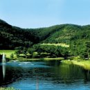 신원닷컴 이미지