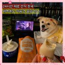 한아름공원1 | 건대 무인편의점 제로스토어 24시간 곤약현미 떡마리 단백질칩 요거트 내돈내산 후기