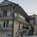 지리산정자나무펜션 이미지