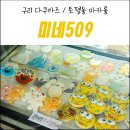 미네509 | 구리 다쿠아즈 토평동 마카롱 미네509