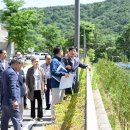 해뜰안애 이미지