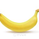 중앙농약 이미지