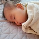 장보고베이커리 이미지