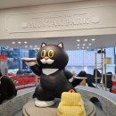 고양이카페 루프캣미 명동점 | [명동] 고양이 카페 루프캣미 명동점 후기 😻 (유기묘카페 X)