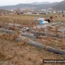 중산동 취락유적 이미지