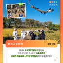 1박2일테마 이미지