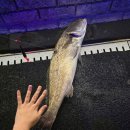 인천 락 실내바다낚시터 이미지