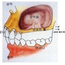 서울웰치과의원 이미지