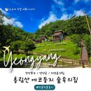 영양 에코둥지 흥림산 자연휴양림 숲속의집 401호 목재문화체험관 그물 놀이터 선바위물놀이장 다녀왔어요