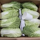 (주)새벽김치 이미지