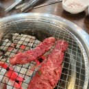 경주집한우