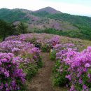 천지산악회 제75회 제암 일림산 산행안내 이미지