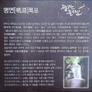 명연