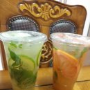 케이프유니스 이미지