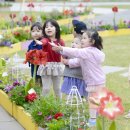 한마음광장 이미지