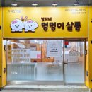 아롱애견미용실 | [계산동 애견미용] 애교쟁이 말티즈 '아롱이'의 변신! (6mm 전체미용+얼굴컷)