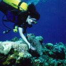 인터넷클럽 이미지