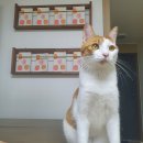 250-2-000040 이미지