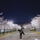 뭉케이크 | ᵐᵉᵐᵒʳʸ ⁵