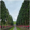 관음사 입구 주차장 이미지