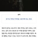 문사 Daum카페