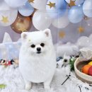 다래미용실 이미지