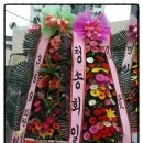 에코카프라자
