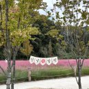 보배반점 함양점 이미지