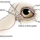 송파새날동물병원 이미지