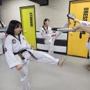 국가대표 신화 태권도장 | 성인태권도 태권도단증 합격 방법 후기 - 태권도성인반 체험 가격 리뷰 추천