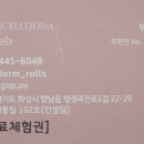 향남인셀덤
