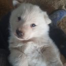 속리농원 이미지