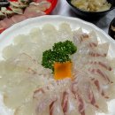 엑스포 삼포차 네이버블로그