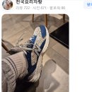 금성사세탁소 이미지
