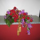 월드플라워 이미지