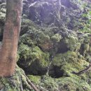 골체오름 이미지