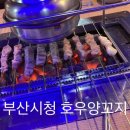 호우양꼬지
