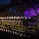 용인유전자영농조합법인 | 설 연휴, 어디 가지? 설날 당일에도 운영하는 가볼만한 곳