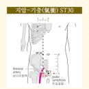 금어로1 이미지