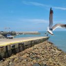 방아머리 이미지