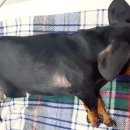 두암한방병원 이미지