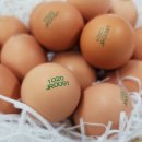 대섬알이랑 이미지