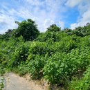 용촌2리 이미지