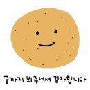 샐러디우