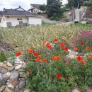 동량면사무소 이미지