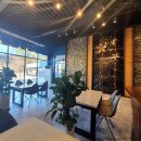 그레이스이인 이미지