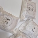 웨인스베이글스 홍대점 베이글 샌드위치 후기