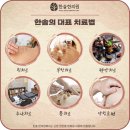 한솔병인한의원 이미지