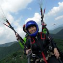 밀양초등학교 이미지